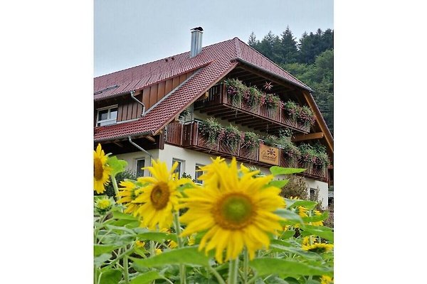 Ferienhaus Oppenau