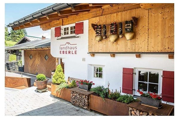 Ferienhaus Mittelberg