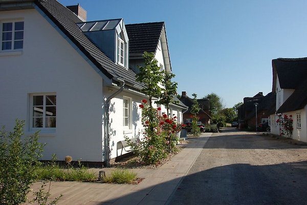 Ferienhaus Wyk