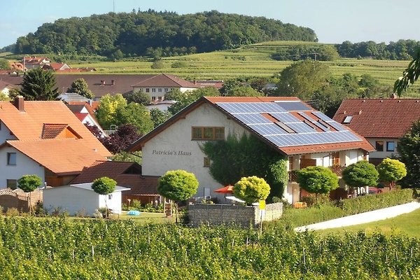 Ferienhaus Vogtsburg im Kaiserstuhl