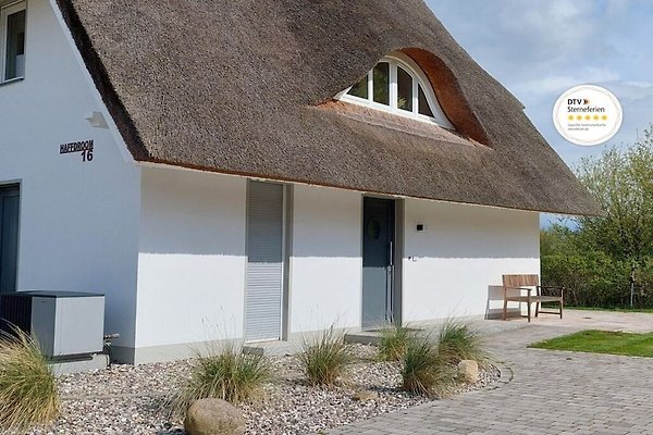 Ferienhaus Am Salzhaff