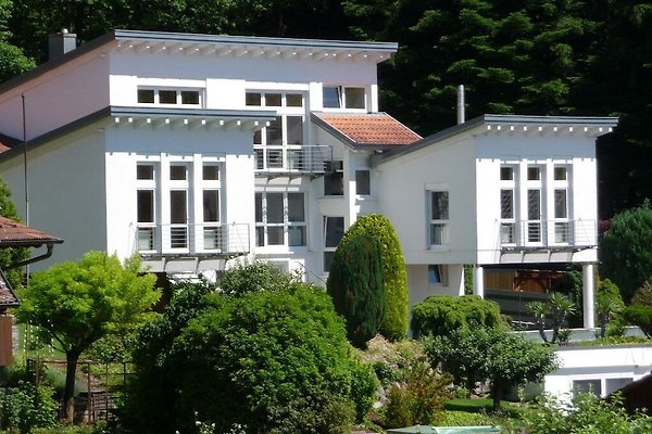 Ferienhaus Ettenheim