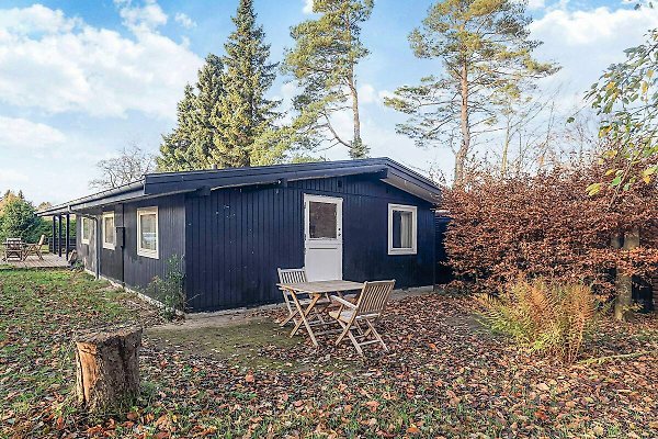 Ferienhaus Hornbæk
