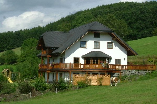 Ferienhaus Schmallenberg