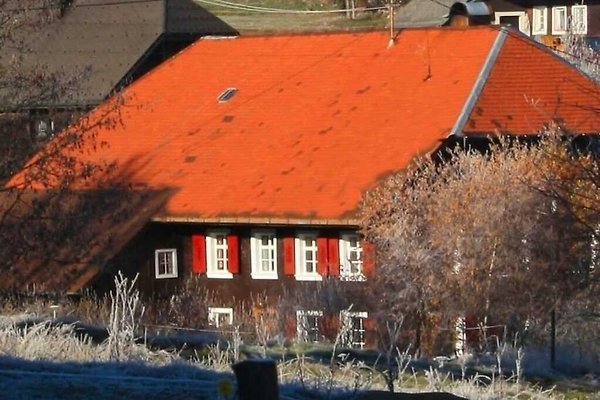 Ferienhaus Bernau im Schwarzwald