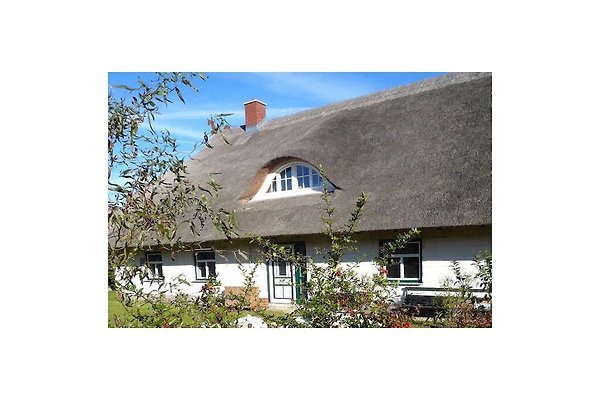 Ferienhaus Am Salzhaff