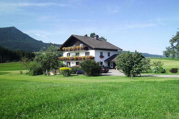 Ferienhaus Eisenberg