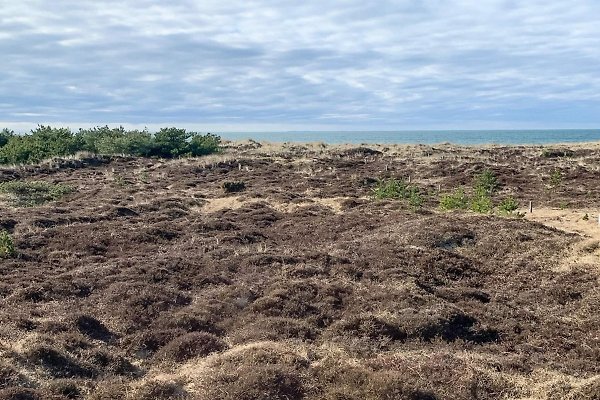 Ferienhaus Höjby Lyng
