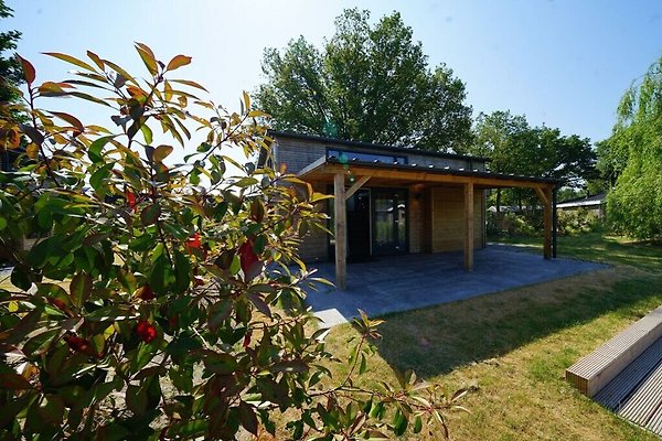 Ferienhaus Biddinghuizen