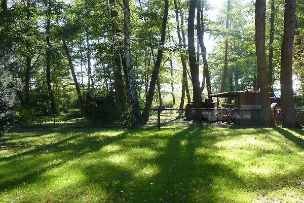 Ferienhaus Heidesee
