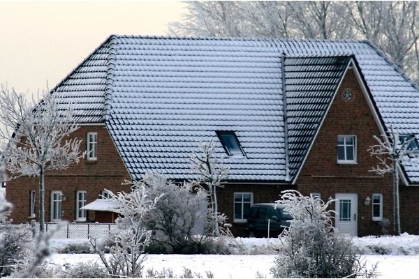 Ferienhaus Nordstrand