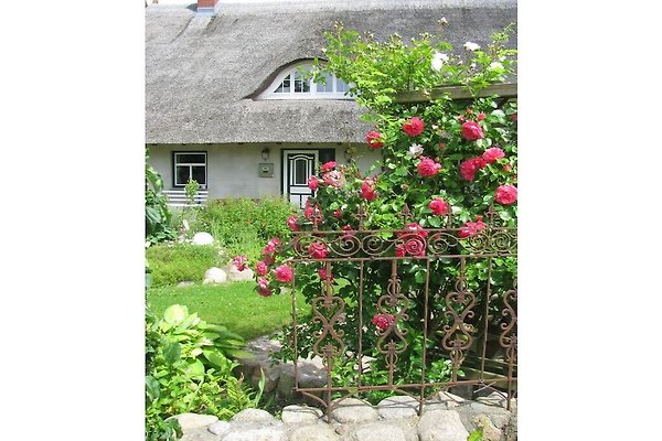 Ferienhaus Am Salzhaff