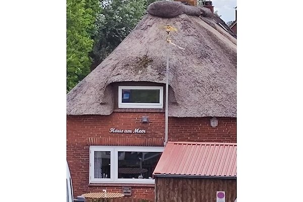 Ferienhaus Nordstrand