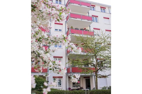 Ferienhaus Freiburg