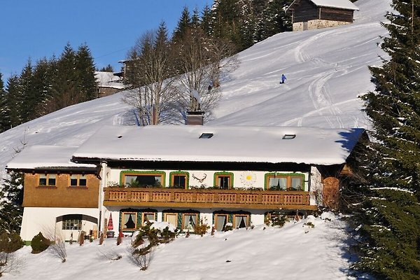 Ferienhaus Mittelberg