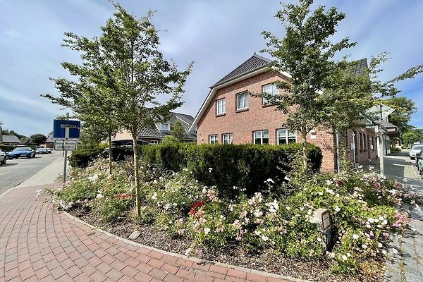 Ferienhaus Wyk