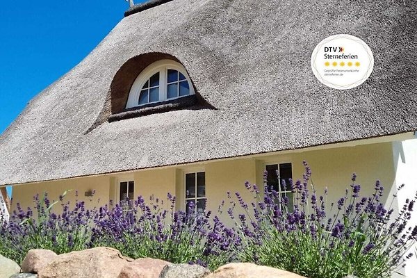 Ferienhaus Am Salzhaff