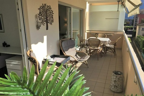 Ferienhaus Ascona