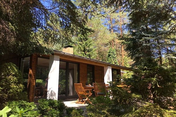 Hütte Borkwalde