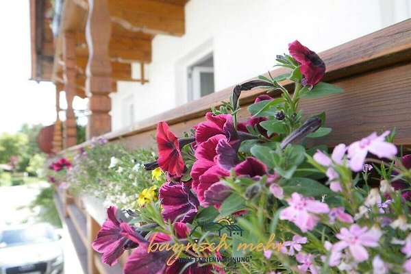 Ferienhaus Gstadt am Chiemsee