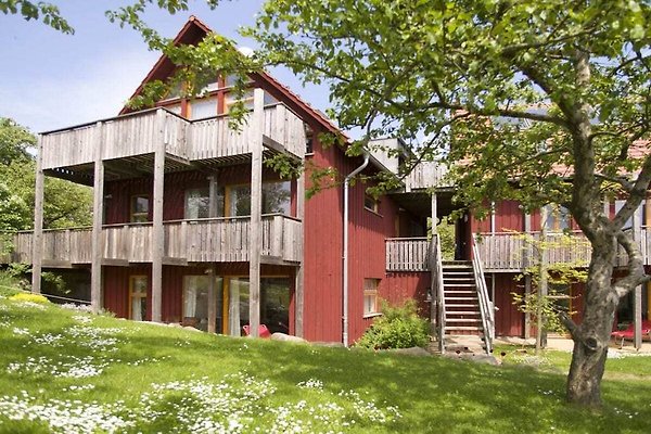 Ferienhaus Benz