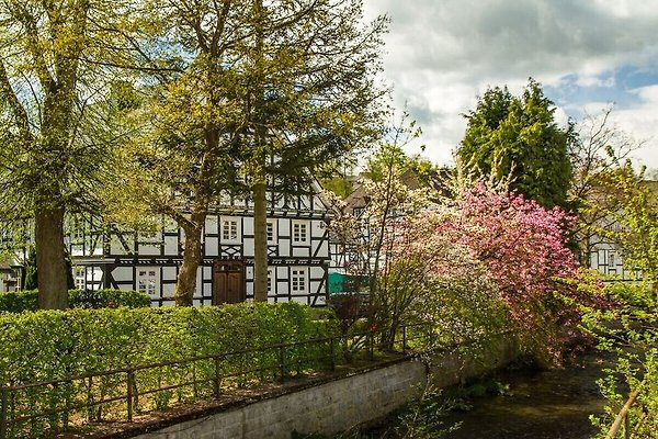 Ferienhaus Schmallenberg