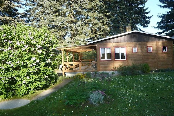 Ferienhaus Feldberg