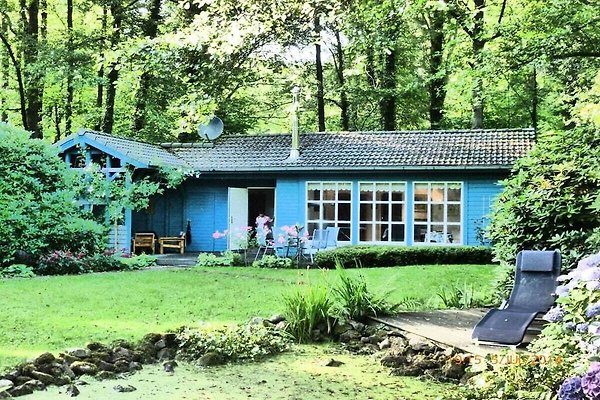 Ferienhaus Bad Zwischenahn