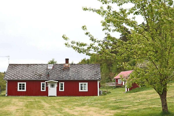 Ferienhaus Falkenberg