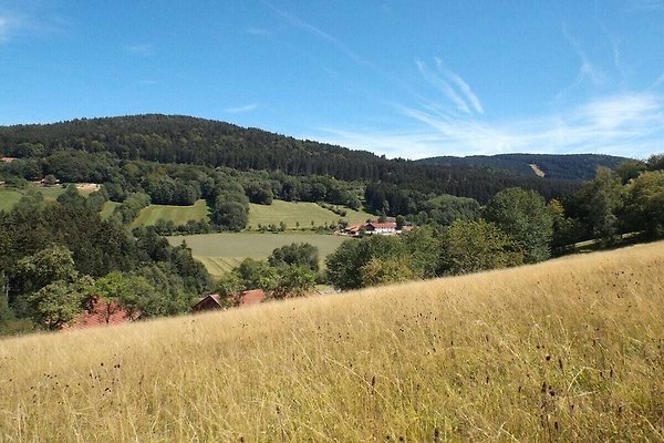 Ferienhaus Sankt Englmar