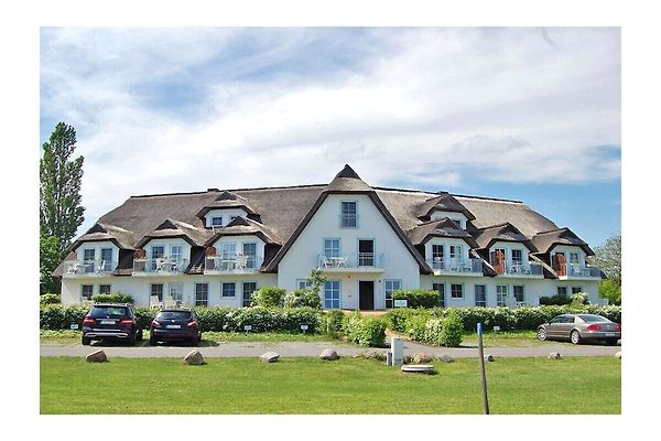 Ferienhaus Benz