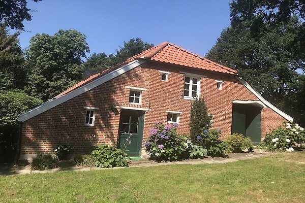 Hütte Leer