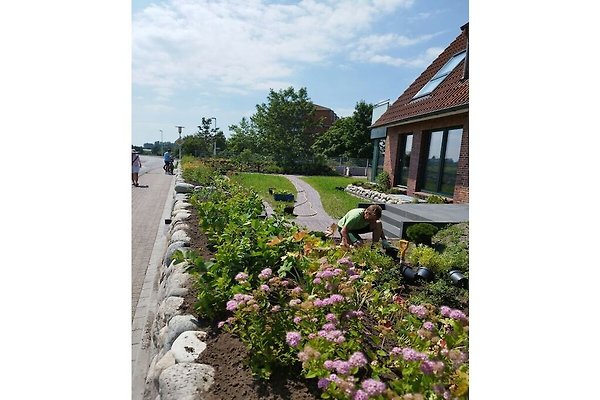 Ferienhaus Norderney