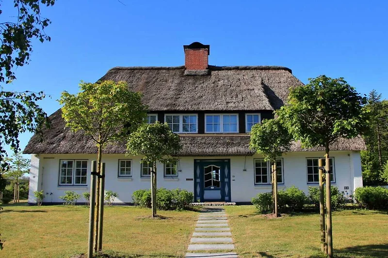 Exterior casa de vacaciones (verano)