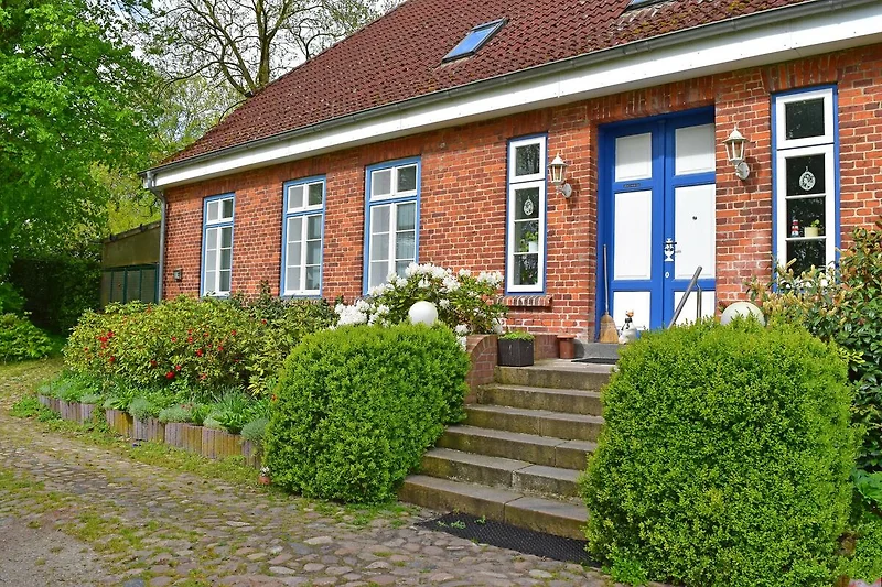 Exterieur vakantiehuis (zomer)