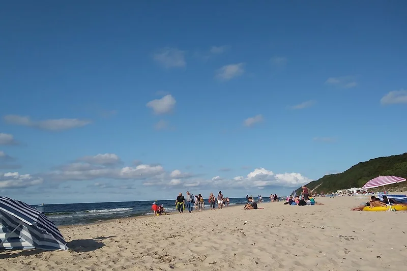 In der Region (Sommer) (>5 km)