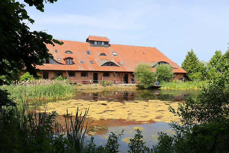 Außenseite Ferienhaus (Sommer)