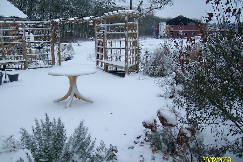 Garten (winter)