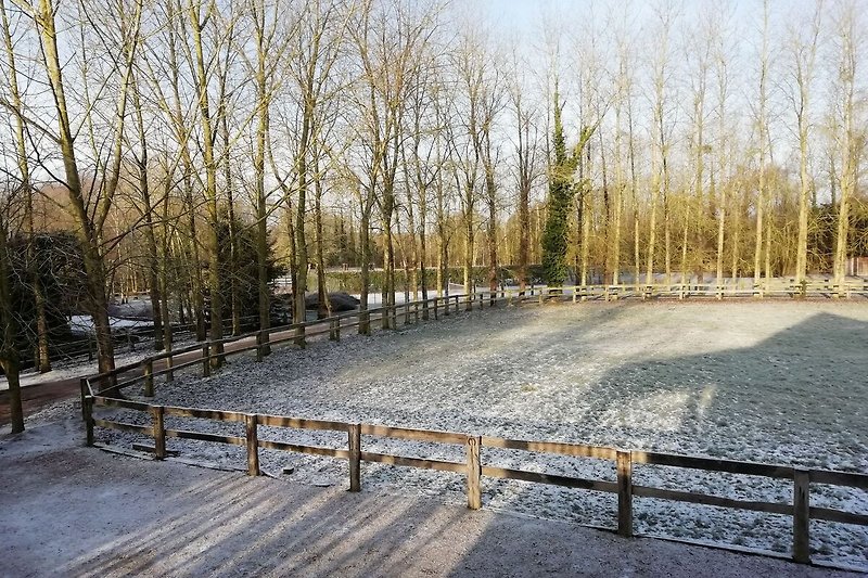 Jardin (hiver)