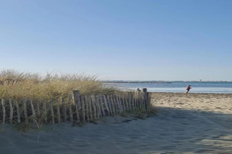 In de regio (zomer) (>5 km)