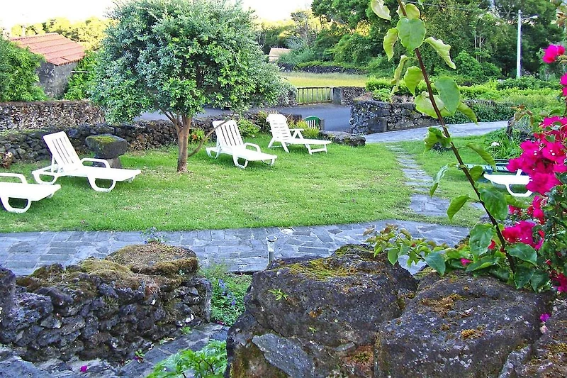 Garten (Sommer)
