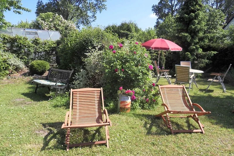 Tuin (zomer)