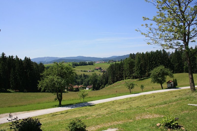 Panorama dalla casa vacanze (estate)