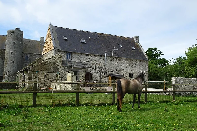 Exterieur vakantiehuis (zomer)