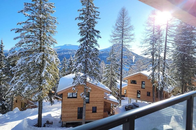 Aussicht vom Ferienhaus (Winter)