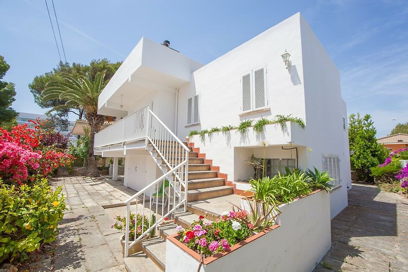 Esterno casa vacanze (estate)