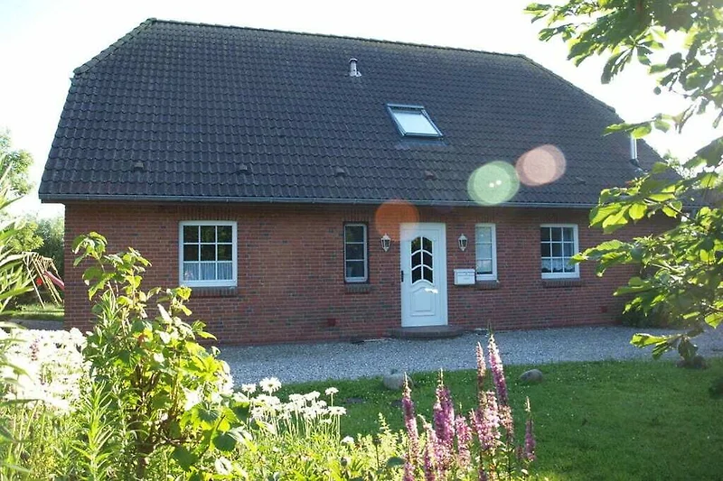 Exterieur vakantiehuis (zomer)
