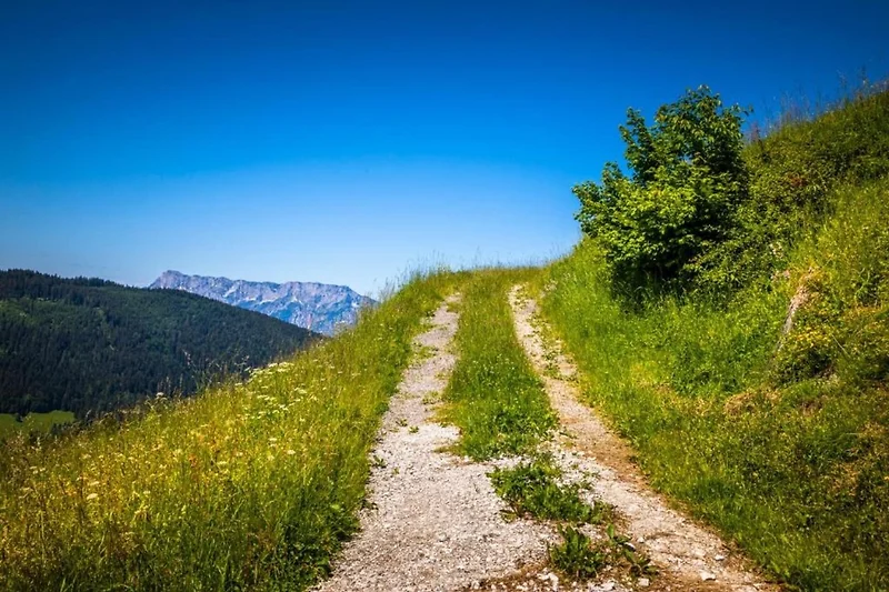 In de regio (zomer) (>5 km)
