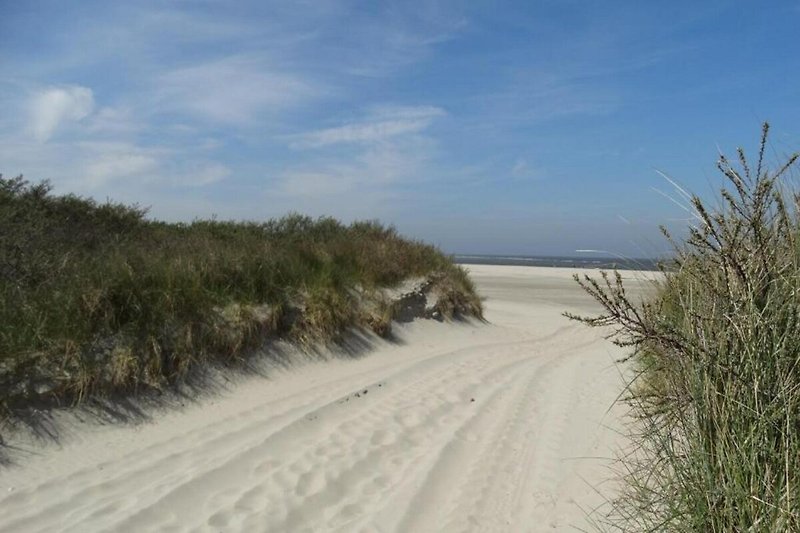 In der Region (Sommer) (>5 km)