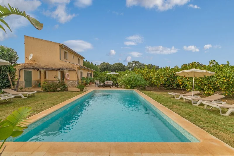 Schwimmbad des Ferienhauses